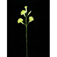 Handwrap Carnation, yellow (lot of 12)