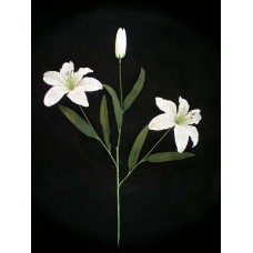 Tiger Lily, candle (lot of 12)