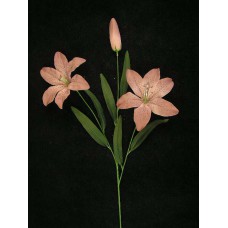 Tiger Lily, mauve (lot of 12)