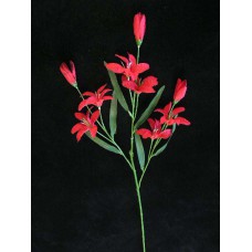 Mini Tiger Lily, red (lot of 12)