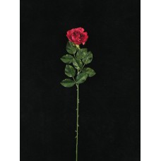 Open Rose Spray, fuchsia, Artificial Silk Flower (lot of 12)