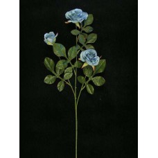 Rose, wedgwood blue (lot of 12)