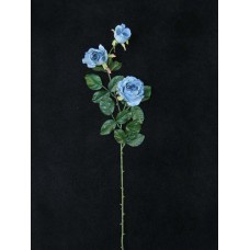 Rose, wedgwood (lot of 12)