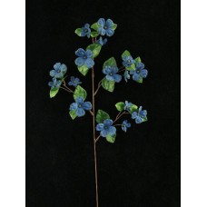 Dogwood, royal (lot of 12)