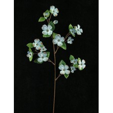 Dogwood, wedgwood (lot of 12)