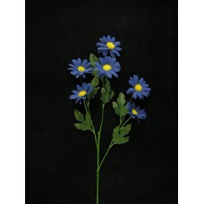 Daisy, navy blue (lot of 12)