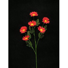 Daisy, red (lot of 12)