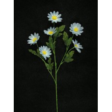 Daisy, wedgwood blue (lot of 12)