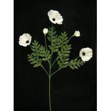 Poppy, white (lot of 12)