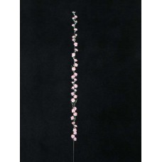 Prune, peach (lot of 24)