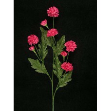 Pom Pom Mum, wine (lot of 12)