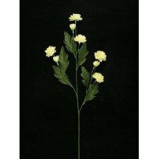 Pom Pom Mum, yellow (lot of 12)