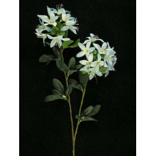 Japanese Azalea Spray, Wedgewood Blue (lot of 12)