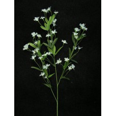 Gypsophilia, wedgwood blue (lot of 24)