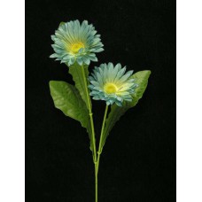 Gerber Daisy, wedgwood (lot of 24)