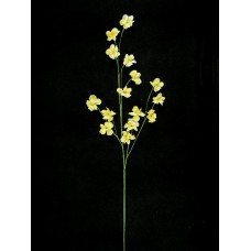 Handwrap Cherry Blossom, golden yellow (lot of 12)