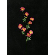 Handwrap Daisy, burgundy (lot of 12)