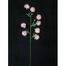 Handwrap Daisy, mauve (lot of 12)