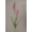 Freesia Handwrapped Silk Flower, burgundy, 30 inch (lot of 12)
