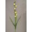 Freesia Handwrapped Silk Flower, yellow, 30 inch (lot of 12)