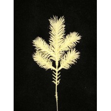 Flocked Angel Pine Pick, antique white (lot of 12) SALE ITEM