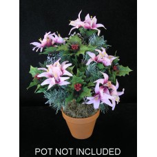 Holly-Lily-Pine Bush (lot of 1) SALE ITEM