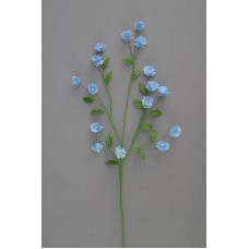 Miniature Marigold, blue (lot of 24) SALE ITEM