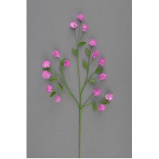 Miniature Marigold, mauve (lot of 24) SALE ITEM