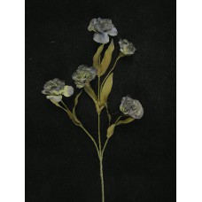 Dried Carnation Spray, french blue (lot of 12)