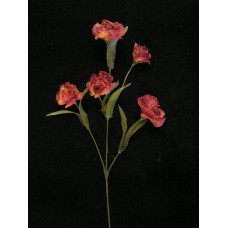 Dried Carnation Spray, mulberry (lot of 12)