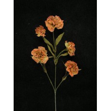 Dried Carnation Spray, Persimmon (lot of 12)