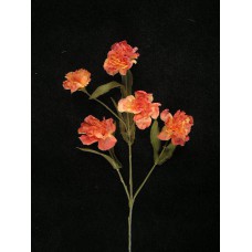 Dried Carnation Spray, rouge (lot of 12)