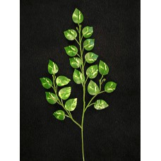 Mini Pothos Vine Spray (Lot Of 1 Bag - 12 Pcs Per Bag)