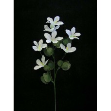 Hybrid Azalea, light blue (lot of 12)