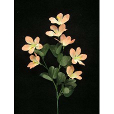 Hybrid Azalea, shrimp (lot of 12)