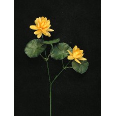 Lotus Blossom, butterscotch (lot of 12)