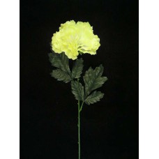 Large Single Peony, yellow (lot of 12)
