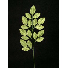 Satin Rose Leaf Spray (lot of 12)