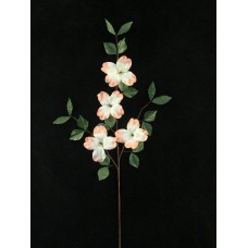 Handwrap Dogwood Spray, shrimp (lot of 12)