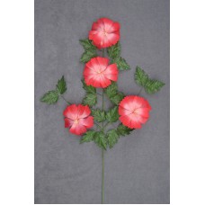 Handwrapped Zinnia, spice, 34 inch (lot of 12)