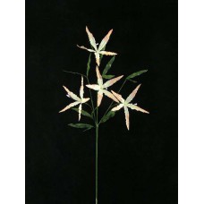 Handwrap Lily Spray, shrimp (lot of 12)