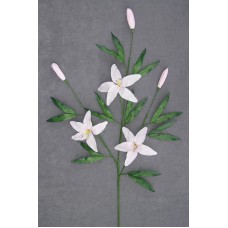 Handwrapped Tiger Lily, pink, 36 inch (lot of 12)