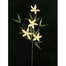 Handwrap Orchid Spray, peach (lot of 12)