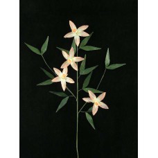 Handwrap Orchid Spray, shrimp (lot of 12)