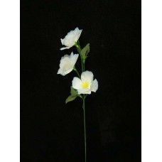 Cornflower, blue (lot of 72)