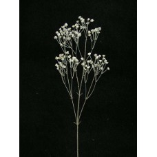 Gypsophilia Spray, Metallic Silver, Artificial Silk Flower (lot of 24)