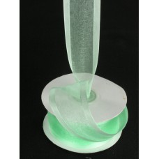 Organza Ribbon With Satin Edge , Mint, 3/8 Inch x 25 Yards (1 Spool) SALE ITEM