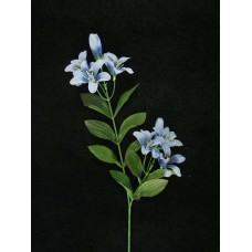 Tiger Lily, blue (lot of 24)