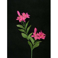 Tiger Lily, fuchsia (lot of 24)