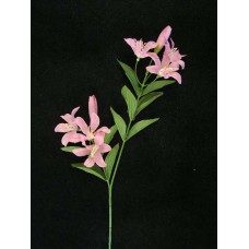 Tiger Lily, light mauve (lot of 24)